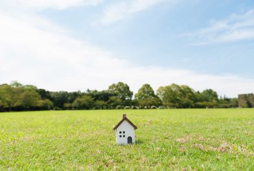 ۲۵۰ متر زمین در قرچک